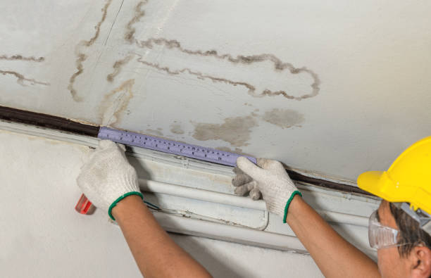 Reliable Flood Cleanup contractor in Pointblank, TX by Water Damage Irwin